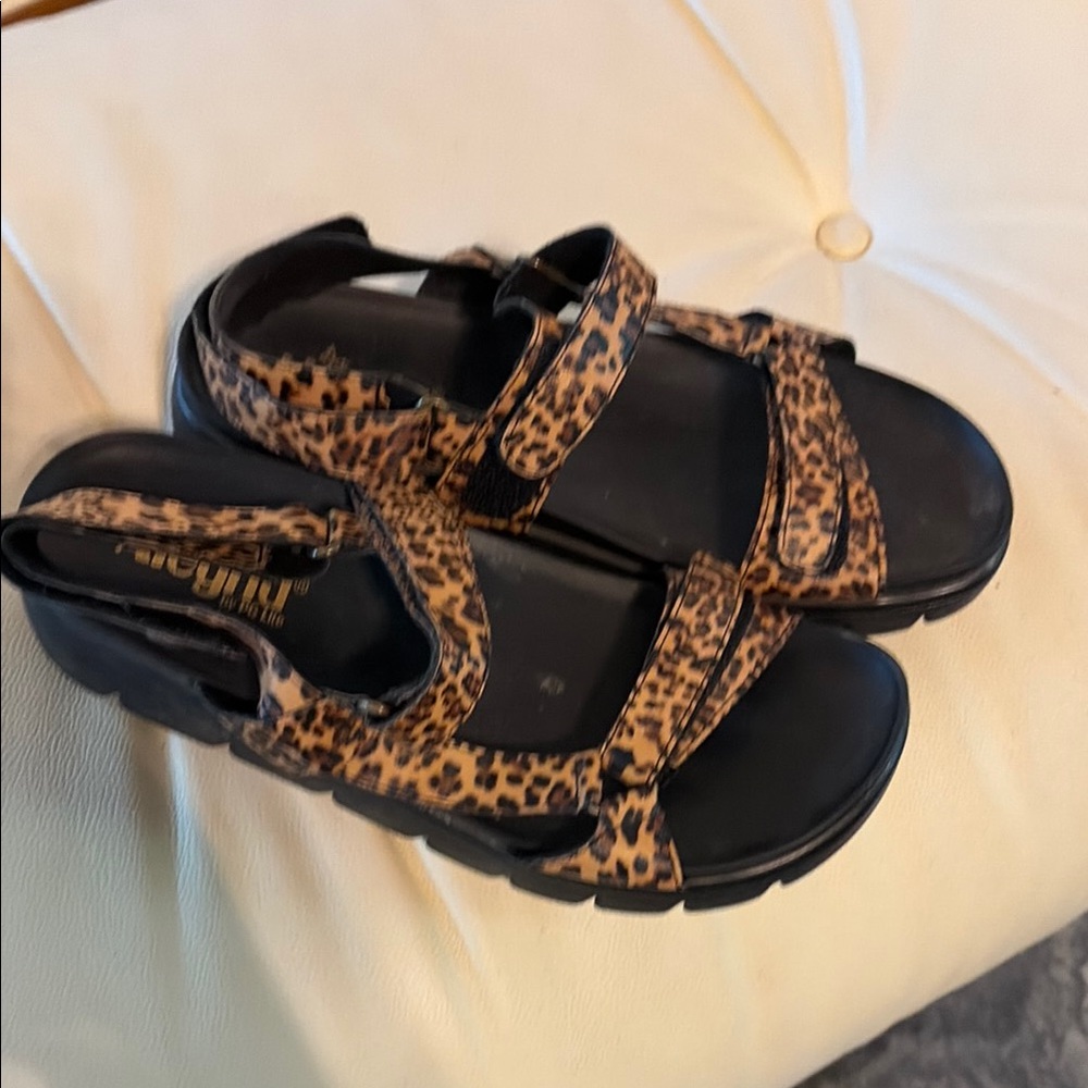 Alegria Leopard Pattern Sandals